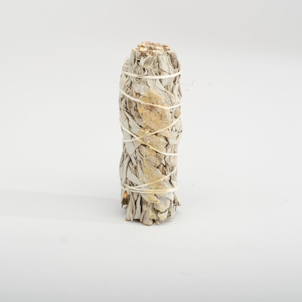 Fascio di Salvia Bianca con Resina Copale– Fumo Sacro dei Popoli Antichi