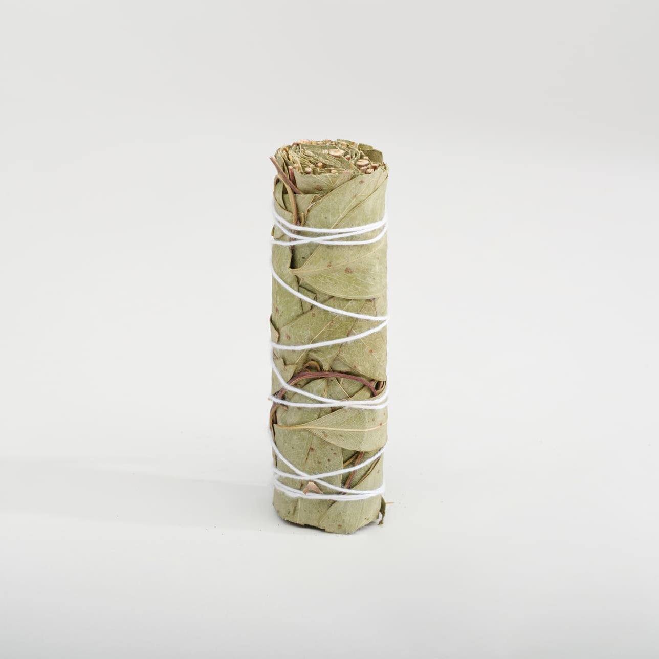 Fascio di Eucalipto – Guarigione e Chiarezza Energetica 